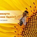 Профілактика отруєнь бджіл пестицидами – на контролі фахівців Управління містобудування, землевпорядкування та комунального майна Біляївської міської ради