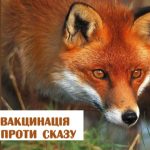 Головне управління Держпрожспоживслужби в Одеській області інформує: Увага! Пероральна вакцинація тварин!