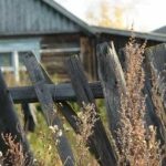 Управління розвитку та експлуатації ЖКГ Біляївської міської ради нагадує про благоустрій