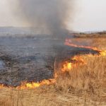 Самовільне спалювання сухої рослинності – небезпечне!