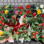 Про організацію та впорядкування торгівлі квітами та сувенірами в передсвяткові дні