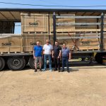 В Біляївській багатопрофільній лікарні незабаром буде розпочато встановлення сонячної електростанції в 500 кВт, найпотужнішої у регіоні.