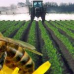 До уваги сільськогосподарських товаровиробників громади! Щодо фактів отруєння бджіл.