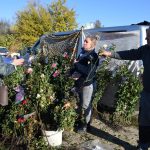 Минулої суботи в Біляївці відбувся сільськогосподарський ярмарок.