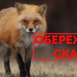 Обережно: сказ!