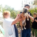 21 та 22 вересня у м.Біляївка  проводилась безкоштовна вакцинація котів та собак від сказу.