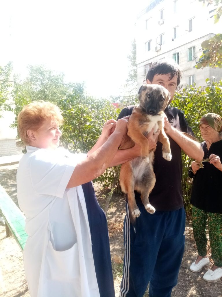 21 та 22 вересня у м.Біляївка  проводилась безкоштовна вакцинація котів та собак від сказу.