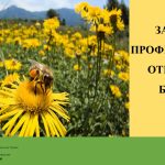 Інформаційні матеріали по заходам з профілактики отруєння бджіл