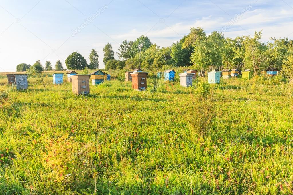 Пам`ятка для власника пасік