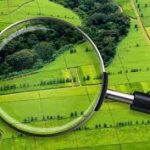 Про індексацію нормативної грошової оцінки земель за 2023 рік